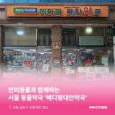 메디팜대안약국 이미지