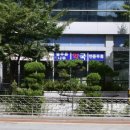 늘푸른나무약국 이미지