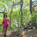 대전둘레산길(2구간) 이미지