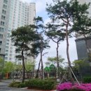 대광로제비앙아파트경로당 이미지