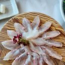 대영 삼계탕 네이버블로그