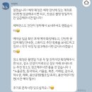 W10. 서울야외 웨딩스냅 작가 추천, 카멩찌님 계약 후기!!