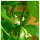 정솔농장 이미지