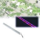 용등농장 이미지