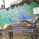 느티울1,2길 이미지