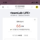 디자인이플