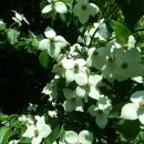 내포농산 이미지