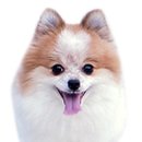 기승전견