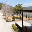 홍천군 남면 유치리 저수지 접한 전원주택지 391평 이미지