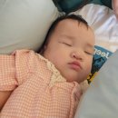 한라서비스 | 제주도 차량 탁송 한라서비스 내돈내산 후기