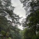 산골캠핑장 네이버블로그