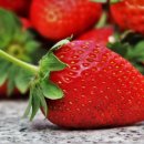 금실농장 이미지