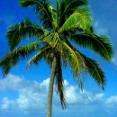 (주)나무그룹 이미지