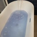 캠프게이트 펜션 | 가평 청평호 감성 숙소 캠프게이트펜션 후기