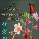 짠ㅋㅋㅋㅋ 이미지