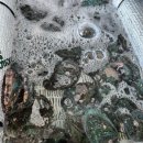 온다ONDA, 동해 이미지