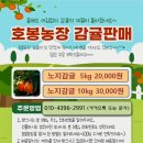 수선농장 | (급성림프모구백혈병) 조혈모세포이식-D+500~D+526 평범한 일상, 맛있는 음식, 은혜로운삶? ㅋㅋ
