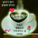 커피향기 이미지