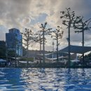 남해 선베이컨트리클럽 | 서울수영장추천 반얀트리 오아시스 수영장 후기 운영시간, 가격, 아웃도어 추천 메뉴