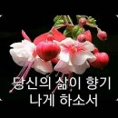 주리