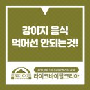 라이코 바이탈 코리아 이미지