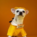 놀러오개 서대문점 이미지