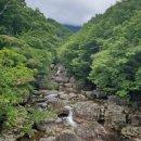 ⛰️ 제1.765차 8월2일 전남 구례 피아골 계곡트레킹 예약방 이미지