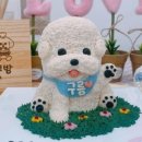 꾸밤꾸밤 이미지