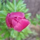 화잠초등학교병설 이미지