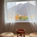 황금펜션 이미지