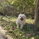 색달동-14 | 12월 초반 in 제주(원성이의 방문, 1100고지 눈 구경)