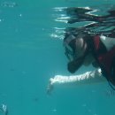 물고기(물과의 만남 이미지