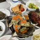 성공식당 | 풍자 또간집 1등 맛집 주말 오픈런 성공후기, 평택 호성식당 꽃게탕🔥