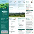 자연보호헌장비 | 2026 제주 거문오름 트레킹｜6km 용암길, 비 오는 날 걸어본 세계자연유산