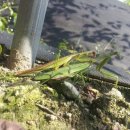 음지농장 이미지