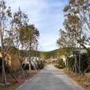 Spring Palace(스프링 팰리스) 이미지