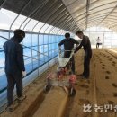 본인농장 이미지