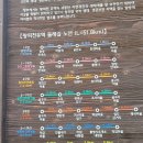 왕피천유역 생태탐방로(1코스) 이미지
