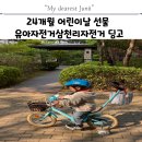 딩고 | 24개월 어린이날 선물 유아자전거 삼천리 딩고 14인치 구매 후기 (내돈내산)
