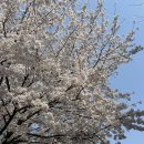핫해짐 서산점 | 4월 일상 - 1