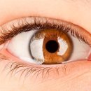 눈애편안안경콘택트 이미지