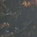 위드치과보철과의원 이미지