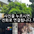 용산-현장-244 네이버블로그