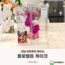 잇플로 | 강남 주문제작케이크 맛집 플로멜트 케이크 후기