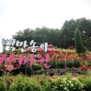 공원소갈비살