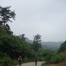 합강농장 이미지