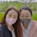 예스도반
