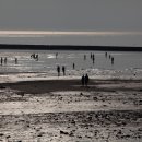 태안별장 이미지