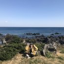 시천목장 이미지