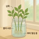 정수목장 이미지